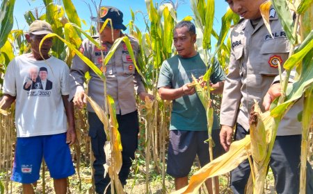 Polresta Sidoarjo Gelorakan Swasembada Pangan Melalui Program P2B