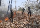 Respons Cepat Polres Ponorogo dan Tim Gabungan Berhasil Jinakkan Karhutla di Sampung