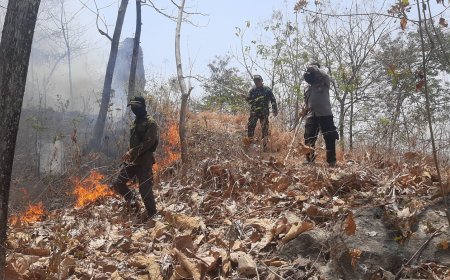 Respons Cepat Polres Ponorogo dan Tim Gabungan Berhasil Jinakkan Karhutla di Sampung