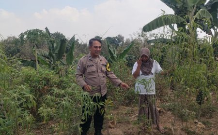 Polres Madiun Dorong Pemanfaatan Lahan Kosong untuk Tanaman Pangan
